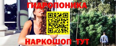 крисы Нальчик