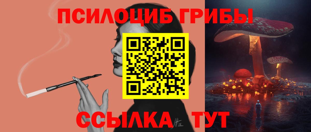 Галлюциногенные грибы Psilocybine cubensis Тара